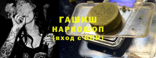 индика Михайлов