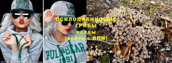гашик Алексеевка
