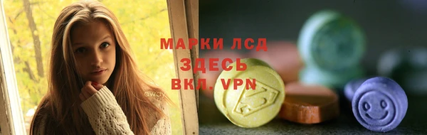 гашик Алексеевка