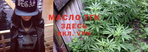 гашик Алексеевка